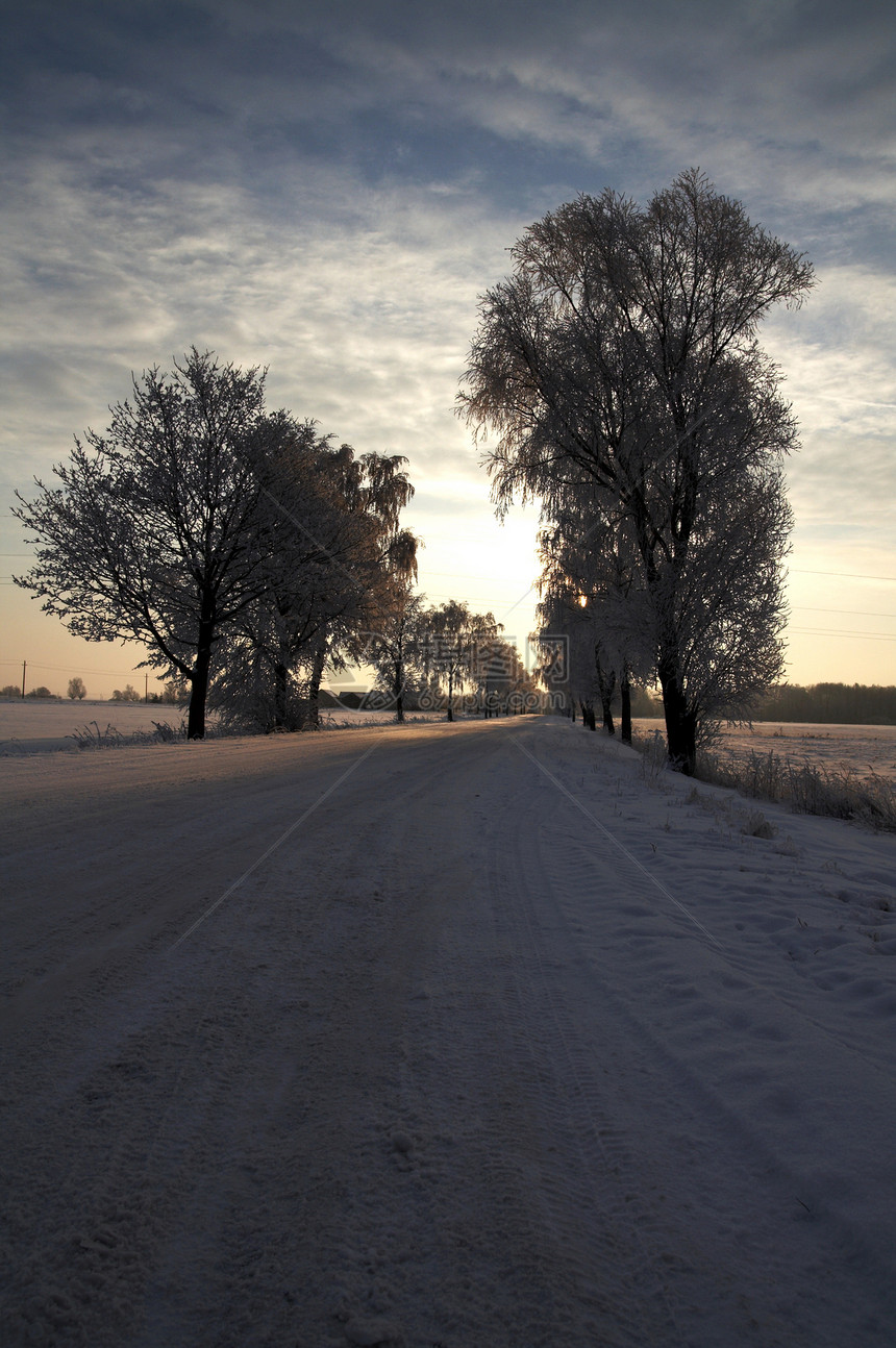 雪中道路中的积雪白色蓝色天空场景快乐森林松树图片