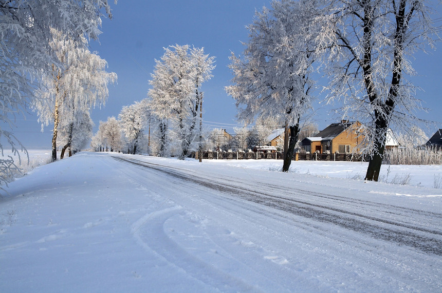 雪中道路中的积雪天空白色松树森林蓝色场景快乐图片