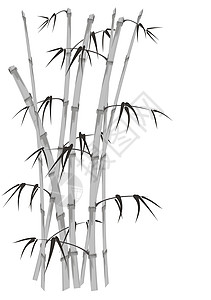 竹茎背景图片