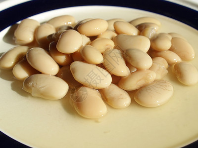豆沙拉食物大豆豆类沙拉生物饮食蔬菜黄豆扁豆营养背景图片