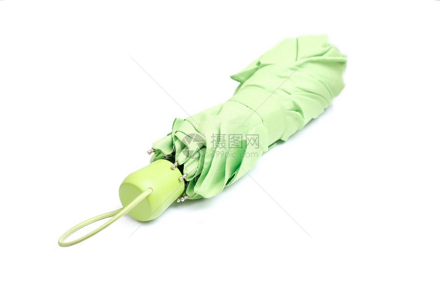 伞状绿色摄影图片