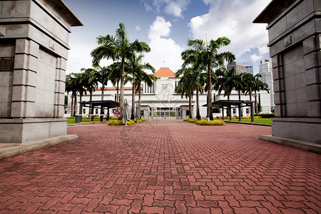 新加坡议会热带旅游公园吸引力建筑城市中心建筑学大厦办公室背景图片