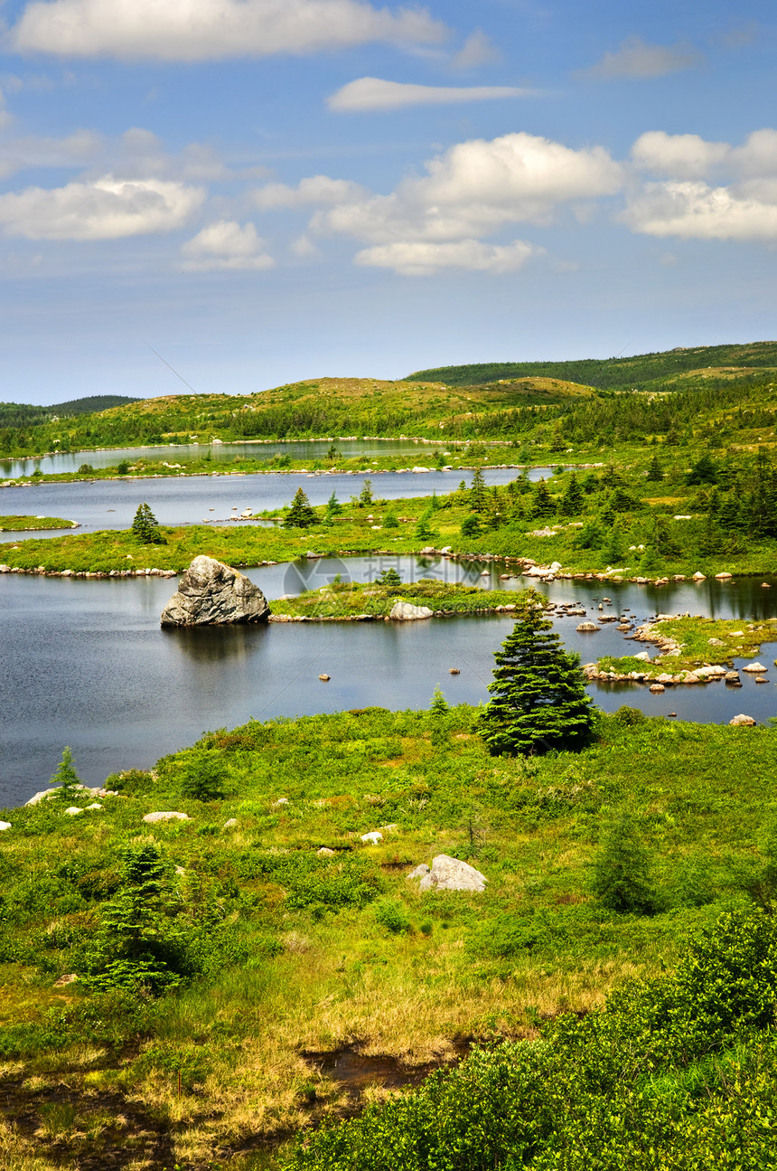 纽芬兰美丽的湖岸边丘陵池塘树木晴天蓝色爬坡风景旅行岩石山坡图片