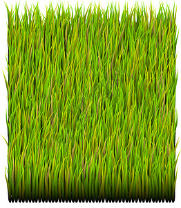 绿草补草背景夹子生态生长植物墙纸回收环境艺术刀片剪贴背景图片