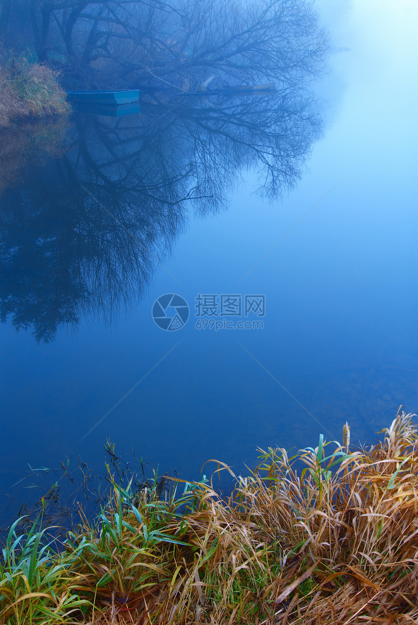 江河乡村芦苇沉思绿色季节蓝色黄色反射图片