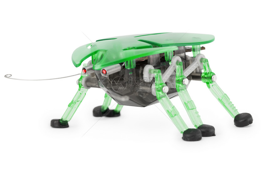 网络玩具 - 白色背景的机器人甲虫图片
