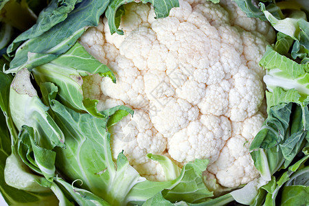 白上孤立的单椰菜花蔬菜叶子植物生长烹饪油菜收获食物背景图片