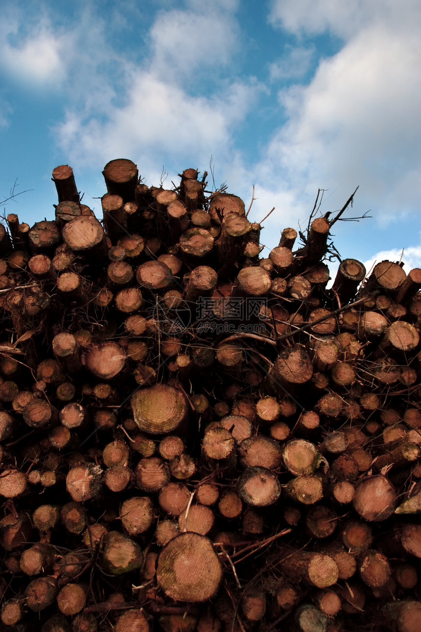 堆叠木材材料木头活力家具天空森林燃料树木烧伤产品图片