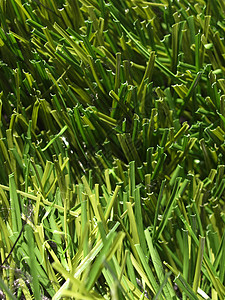 人造草绿色地毯塑料公园花园背景图片