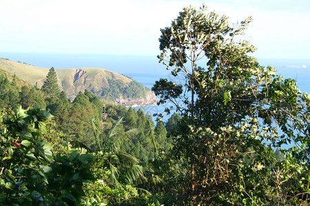 巴西海岸海滩小岛天气爬坡天空蓝色热带植物海洋丛林爬坡道高清图片素材