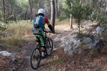 森林下坡树木自行车运动背景图片