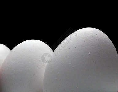 照片素材蛋壳详细蛋壳背景