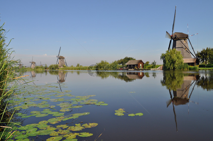 荷兰磨坊在运河中反射图片