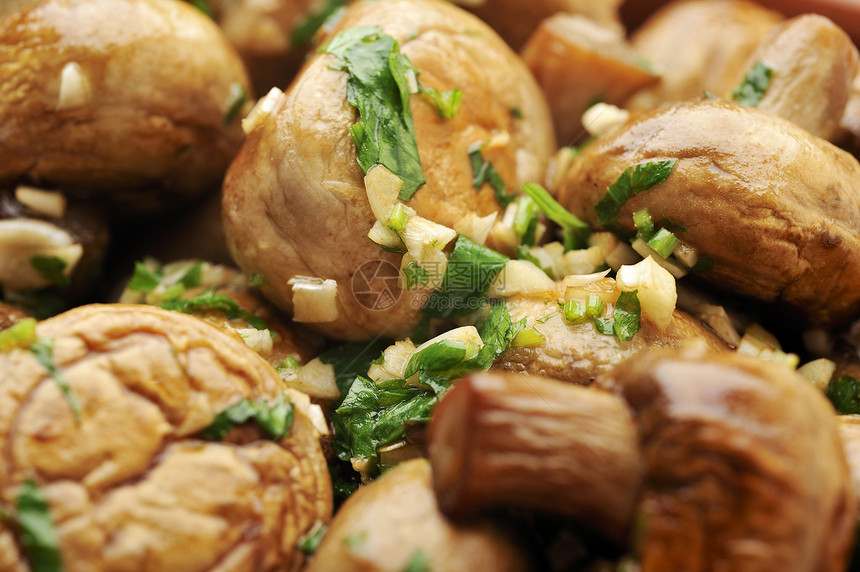 Casserole 桑粉蘑菇烹饪香菜食物图片