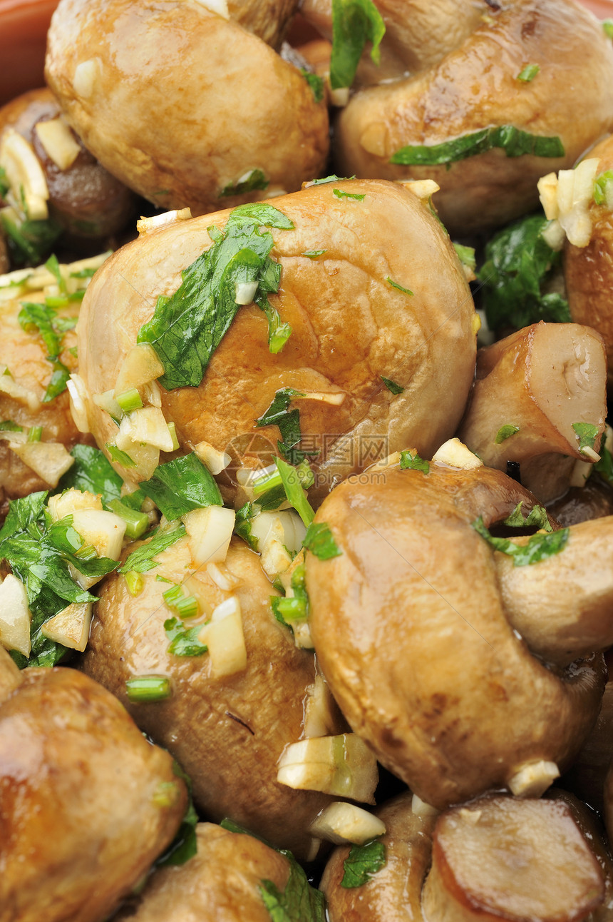 Casserole 桑粉蘑菇香菜食物烹饪图片