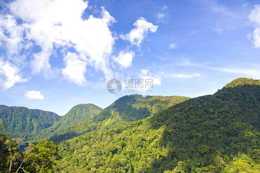 马来西亚主要山脉群山马来西亚丛林半岛荒野范围森林山脉热带树木情调风景图片