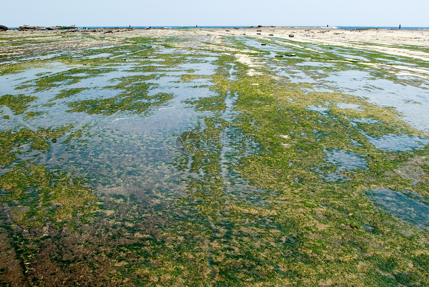 a 绿海藻岩地图片