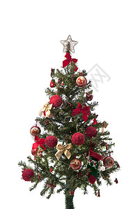 圣诞树绿色白色星星明信片松树红色金子背景图片