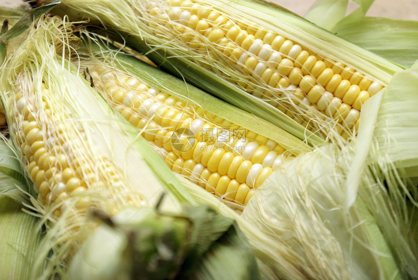 玉米在科布上饮食宏观粮食核心收获农场叶子棒子蔬菜耳朵图片