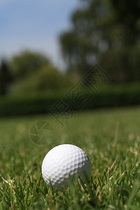 草地高球背景图片