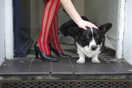 穿高跟鞋的狗穿红鱼网丝袜的女狗腿背景