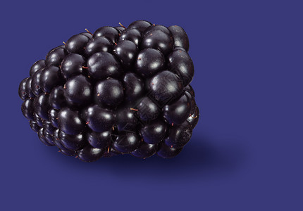 黑莓蓝色水果产品墙纸背景图片