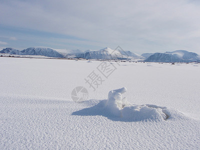 雪白色背景图片