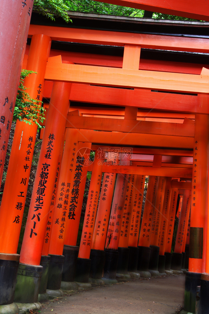 日本托里语 标准门旅行地标红色神社宗教橙子寺庙神道遗产图片