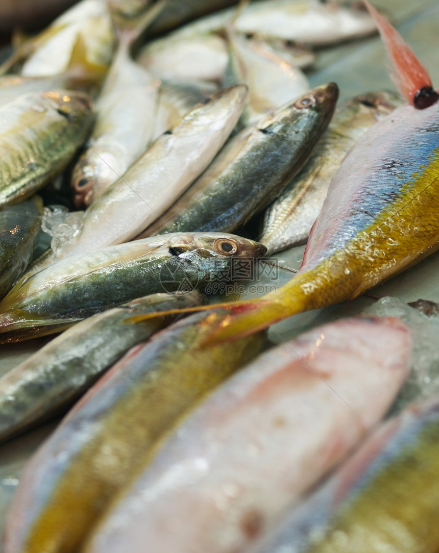 当地市场上的鱼堆动物海鲜养殖钓鱼水产美食眼睛食物销售图片