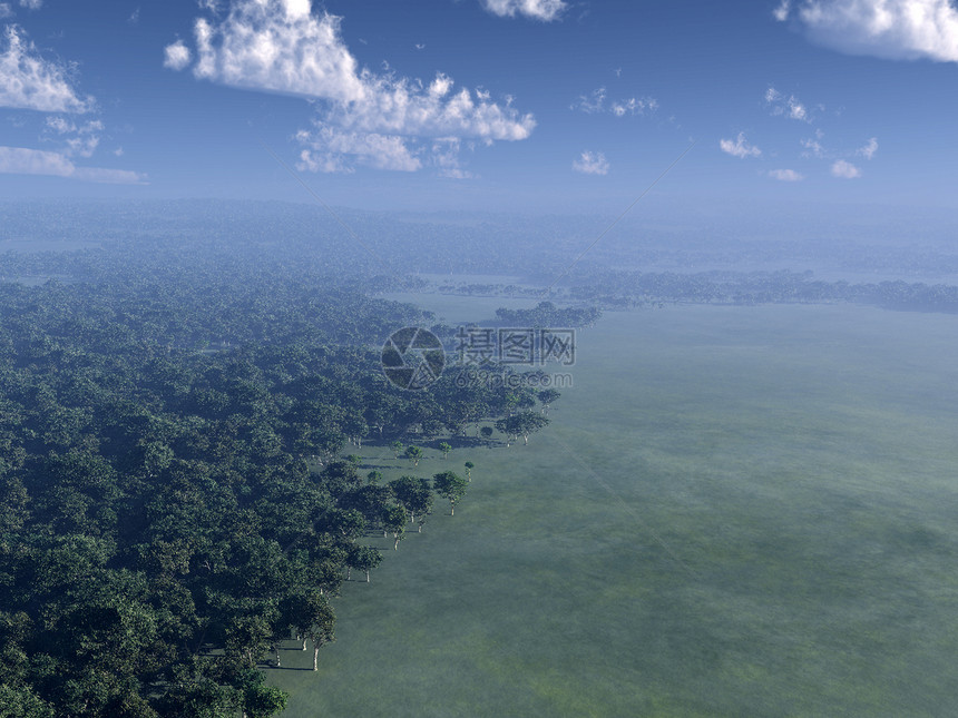 天空之森林乡村环境景观树木植物群蓝色地平线土地农村绿色图片