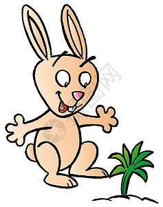 快乐的兔子乐趣卡通片幸福宠物绘画背景图片