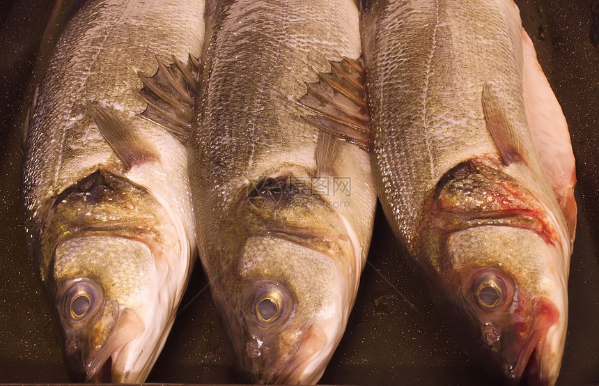 3个海贝鱼眼栖息市场眼睛海鲜低音食物内脏白鱼餐厅图片
