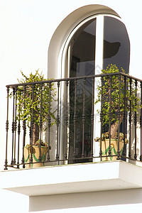 圆形窗口阳台白色植物粉饰拱形建筑窗户栏杆背景图片