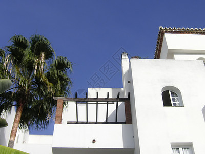 白色建筑物栏杆植物建筑粉饰窗户阳台背景图片