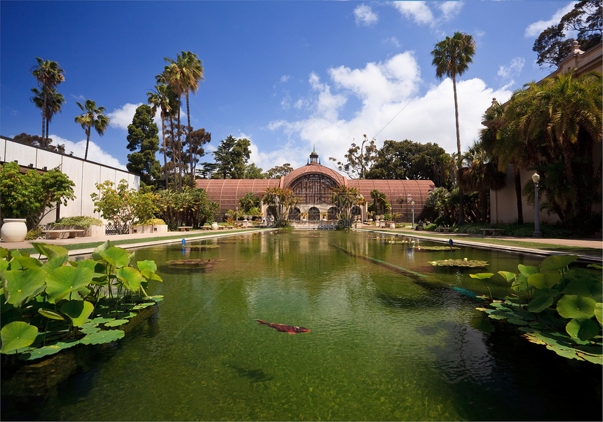 圣地亚哥Balboa公园植物建筑异国晴天花园地标百合建筑学棕榈热带栏杆金鱼图片