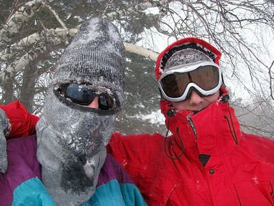冬天 少年和少女 极端 雪暴 雪背景图片