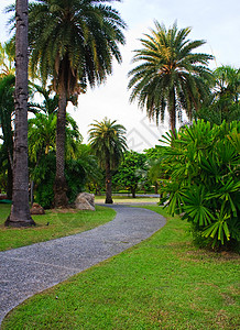 公园和公园的石石路树高清图片素材