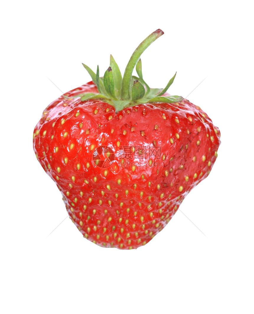 孤立的草莓园艺水果农业植物饮食生活方式健康饮食图片