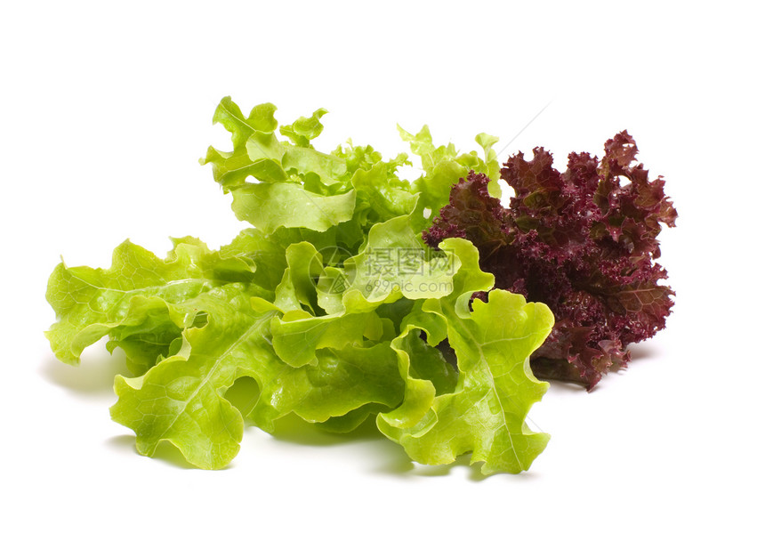 生菜吗维生素原油绿色蔬菜沙拉小吃植物叶子白色食品图片