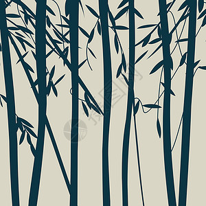 树影叶子枝条植物模版植物学团体森林天气季节性花园背景图片
