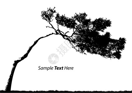 矢量树植物墙纸季节性孤独地面森林背景图片