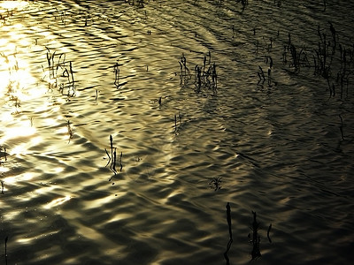 湖 水 池塘 河 日落 玻璃背景图片