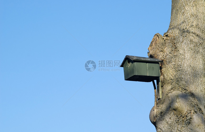 嵌巢框配种鸟舍盒子树木房子木头动物蓝色鸟类天空图片