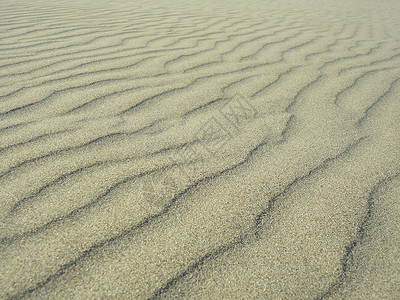 沙丘风暴海滩背景图片