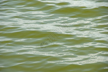 绿色水面海浪环境淡黄色生态微风池塘水池墙纸背景图片