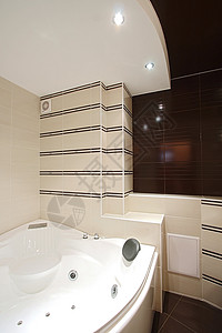 洗浴室曲线阳光住宅房子灯光马桶建筑学按摩风格镜子背景图片