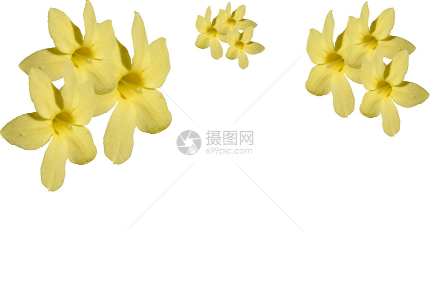 黄色花花边框图片