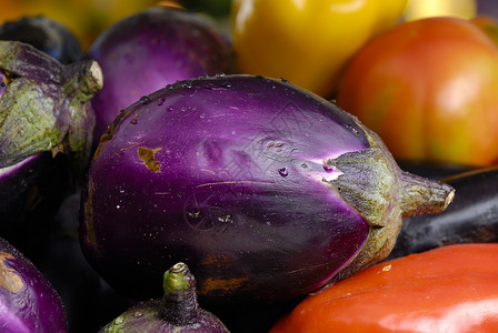 紫色茄子在市场上展示的茄子和西红柿背景