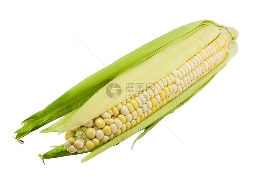 新鲜玉米谷物农业收成食物绿色黄色健康蔬菜棒子图片