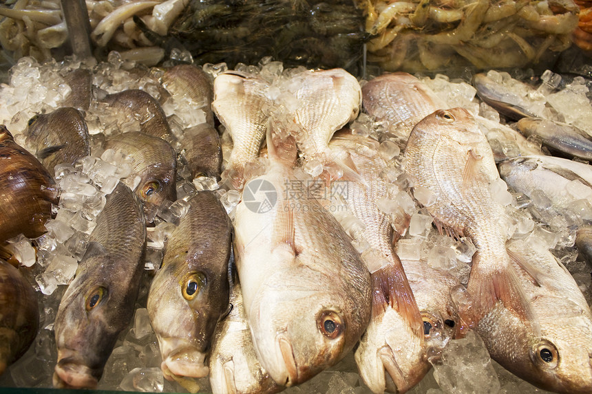 供出售的新鲜海产食品市场食物零售业对虾零售海鲜海洋美食营养销售图片